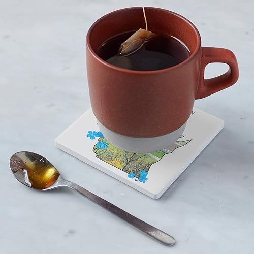 Miniatura 4 de Posavasos del estado de Wisconsin, decoración Joyride para el hogar, portavasos de cerámica individual, portavasos cuadrado individual de 4