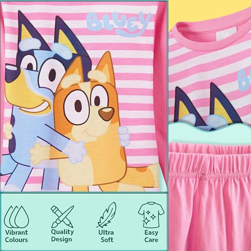 Bluey Pajama Set for Girls Toddlers Long 2 Pc PJs Comfy Lounge Set Loungewear Soft Pajamas Nightwear PJ Gifts for Girls4