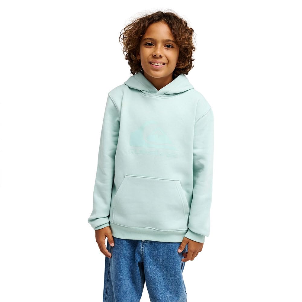 Quiksilver Men's Bleu Child Hoodie Comp Logo