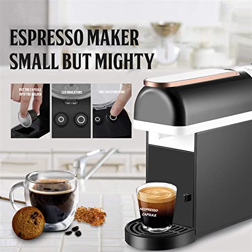 Cafetera semi automática con filtro permanente 12 tazas miniatura 4