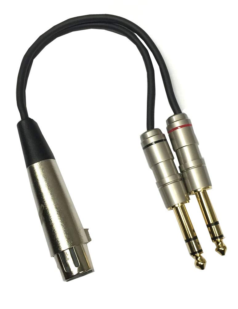 Studio Z XLR Y-Splitterkabel, 15.2 cm (6 Zoll), vergoldete Spitzen, Audio-Adapter, 15.2 cm Buchse auf Dual 1/4 Zoll)