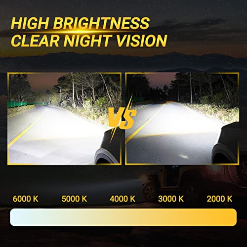 28474-89904 Xenon Hid Headlight Ballast Control Unit With Igniter & D2S Bulb Compatible With Nissan 350Z 370Z Altima Murano Rogue Infiniti G35 G37 Fx35 Qx56 Qx70 -Replaces 28474-8991A Nzmns111Lan #TOP2