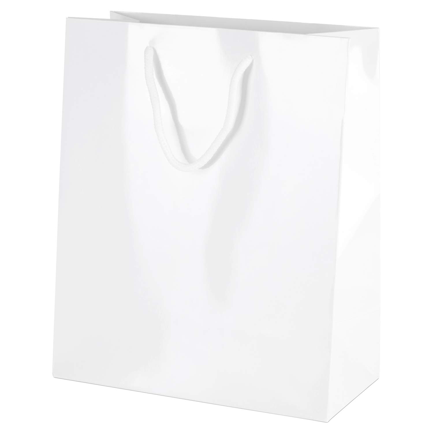Thepaperbagstore30 White Medium Gloss Luxury Boutique Paper Bags with Rope Handles - 200x240x100mm