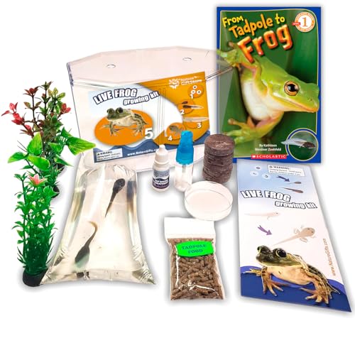 Tadpole to Frog Starter Kit - Includes Certificate for 2