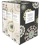 Auf der Suche nach der verlorenen Zeit: 3 Bände in Kassette