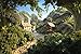 Chtom Jigsaw Puzzle 4000 Puce de Puzzle de la hutte de la forêt for Enfants for Adultes Un Cadeau éducatif for la Famille et Les Amis (Color : Cabin in The Forest, Size : 5000pcs)