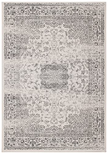 Tapete decorativo SAFAVIEH 5'3" x 7'7" Beige y gris miniatura 3