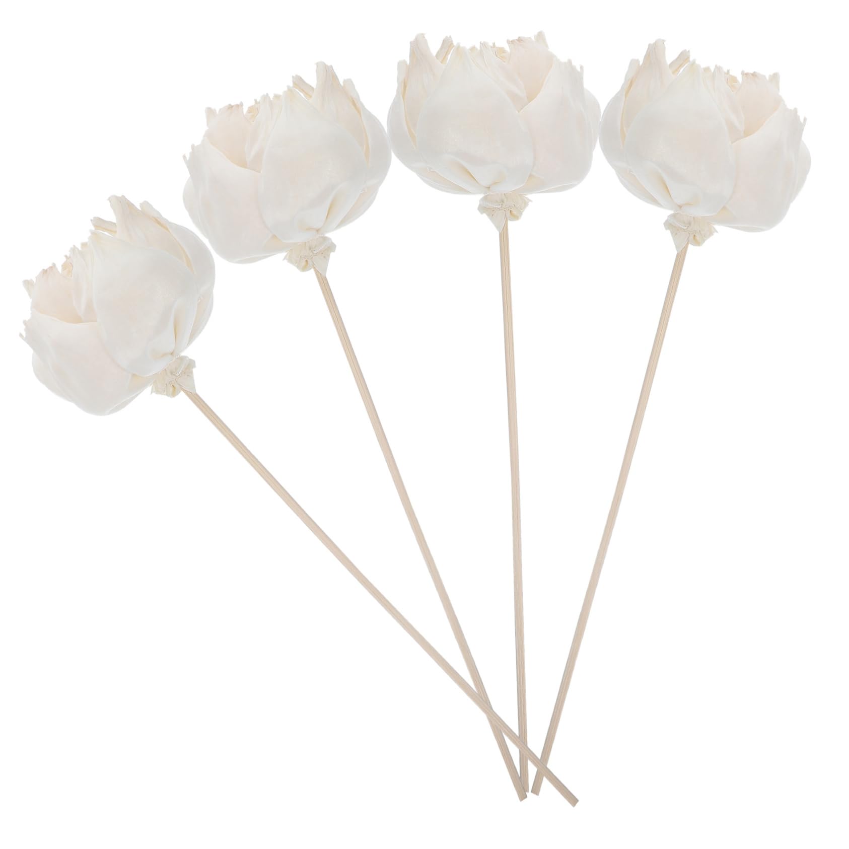 Alipis 20pezzi Diffusore Con Fiori Secchi Naturali Elegante Decorazione Per Ambienti Per Casa e Bagno