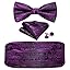 Purple Paisley a