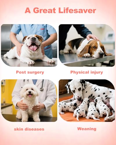 Image of CuteBone Strawberry Pet Surgery Recovery Suit for Medium Dogs Cats, Surgical Onesie for Female Pets, Anti-Licking Wound Suit E-Collar Alternative Post Operative Wear SSF15L