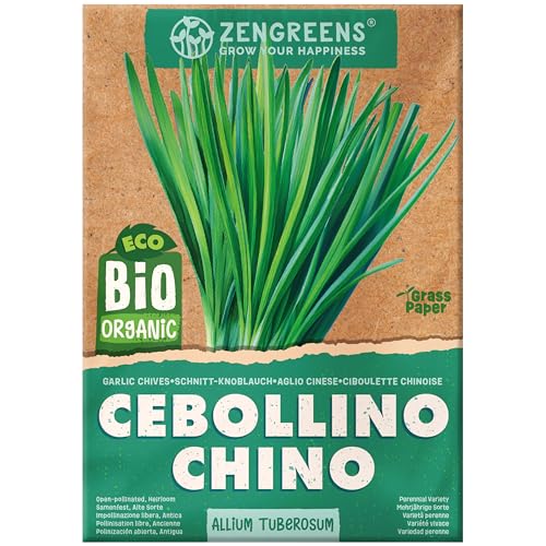 ZenGreens® - Semillas de cebollino chino ecológicas - Semillas de hierbas para cultivar fácilmente en el jardín, balcón o cocina - ideal para principiantes