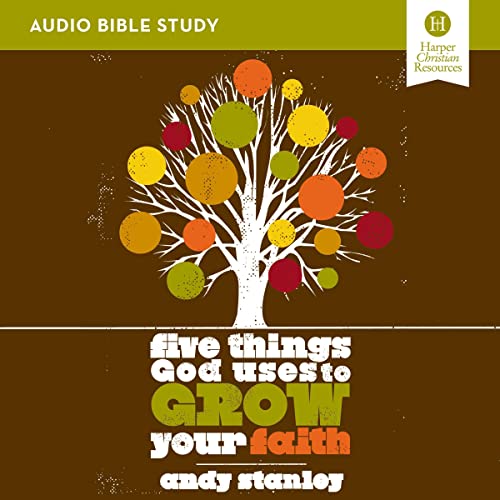 Five Things God Uses to Grow Your Faith: Audio Bible Studies by Andy Stanley episode artwork