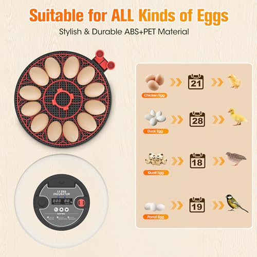 Incubators for Hatching Eggs,12 Egg Automatic Egg Turner with Temperature Humidity Control,Digital Display,Auto Alarm,360° Viewing for Chicken,Quail,Duck Eggs - Image 6