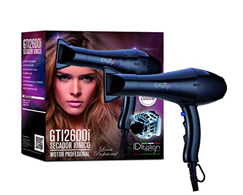 Design Italiano 2600 Ion Dryer