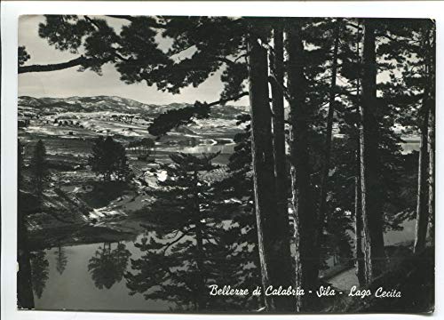 1959 Bellezze di Calabria Sila Lago cecita GULLER Paola Cosenza DEST. Arezzo FG B/N VG