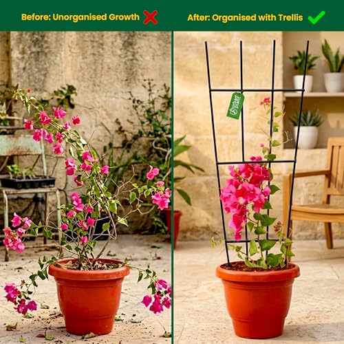 Image of Urban Plant Greenweave Plant Trellis - Durable Support for Climbing Plants, Vines, and Creepers, Ideal for Indoor and Outdoor Gardening Use Black (Pack of 3)