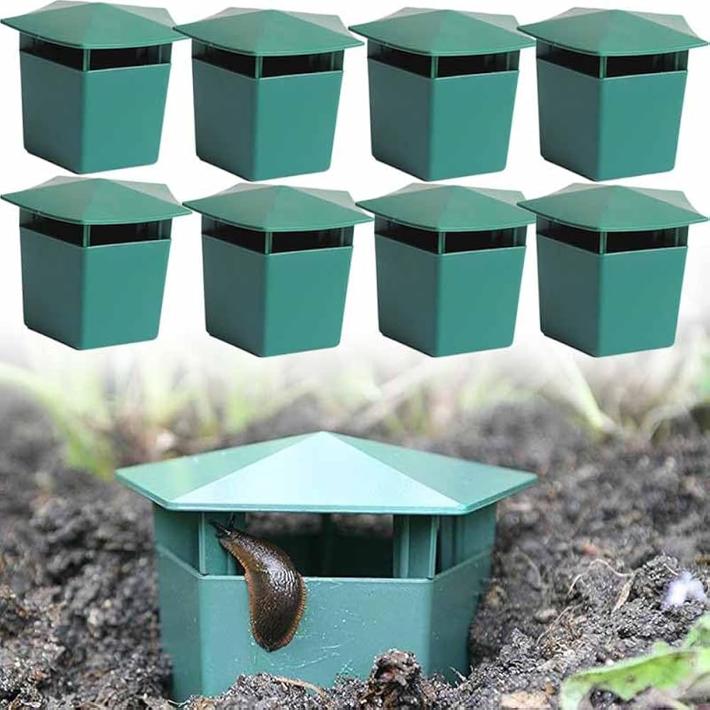 Amazon.com : Slug Plastic Box,Slug 𝐓𝐫𝐚𝐩𝐬 for Garden