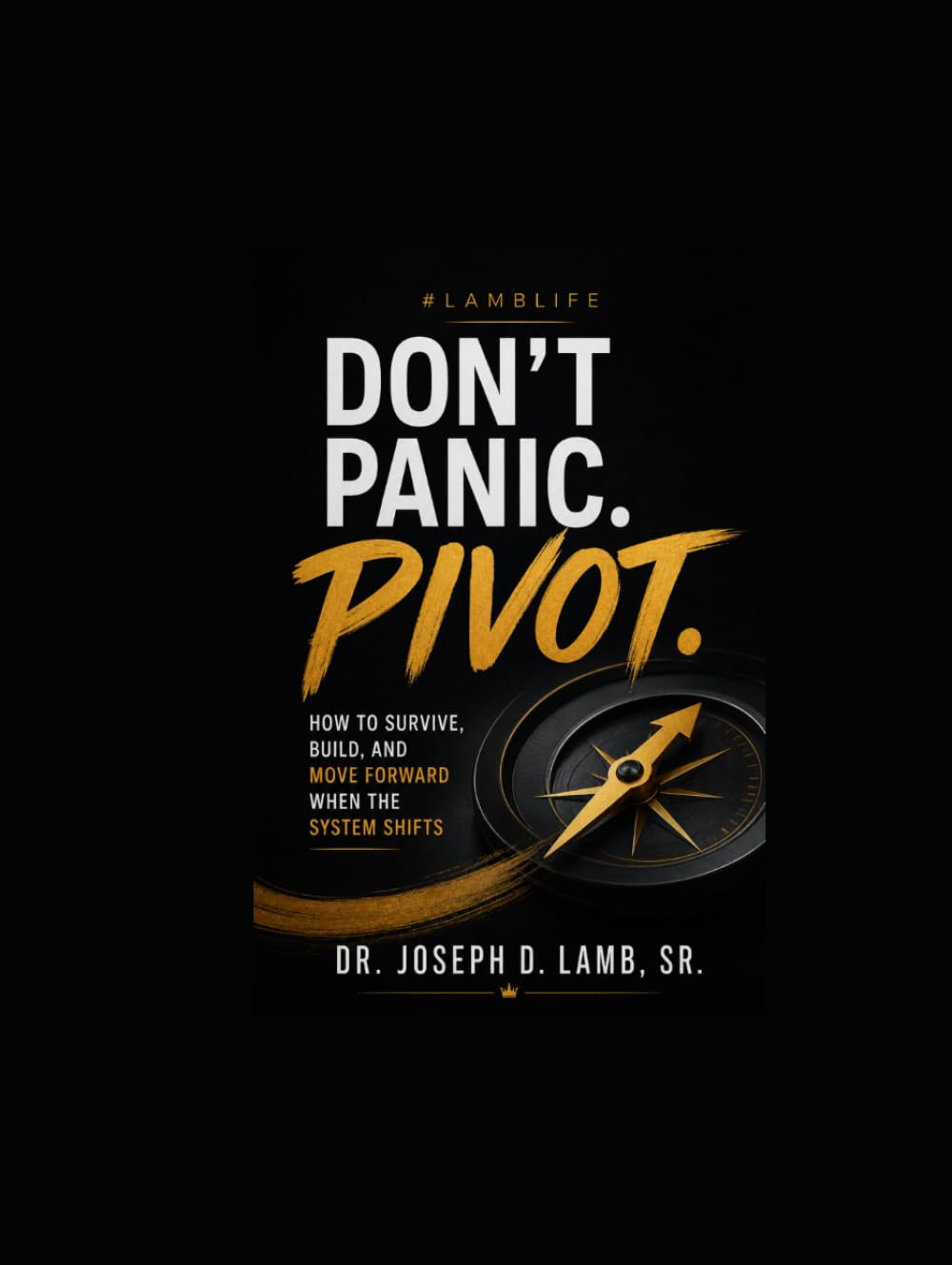 Don’t Panic. Pivot.: How to Survive, Build, and Move Forward When the System Shifts