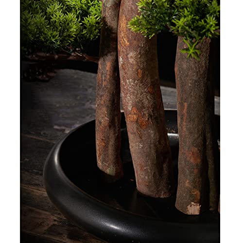 Künstlicher Bonsai-Baum im chinesischen Stil künstlicher Bonsai-Baum Simulation Willkommen Kiefer Bonsai Pflanzen Indoor Topfpflanzen Dekoration Ornamente Home Office Veranda Dekor - Image 4
