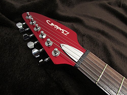 Amazon | Backlund Guitars by Eastwood Guitars Backlund Model 100
