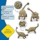 SCHLEICH Dinosaurs | Ankylosaurus 15023 | detailgetreuer Dino | Dinosaurier Spielzeug zum Sammeln | tolles Geschenk für Mädchen und Jungen | Dino Spielzeug ab 3 Jahre | 14 x 7 x 11 cm