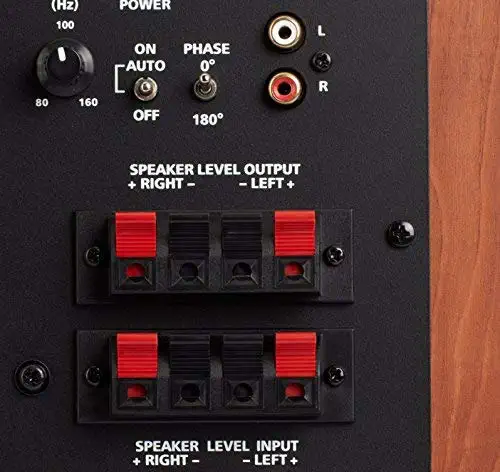 اینچی (Polk Audio PSW10 