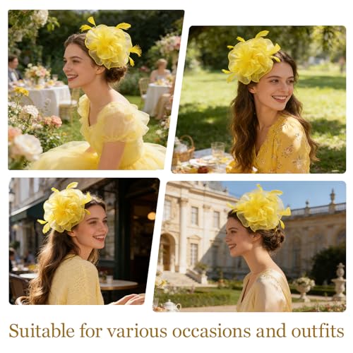 Image of DRESHOW Fascinators Hat Tea Party Headwear Ribbons Feathers on a Headband and a Clip for Women