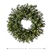 National Tree Company Pre-Lit Artificial Christmas Wreath, Green, Norwood Fir, White Lights, Christmas Collection, 30 Inches