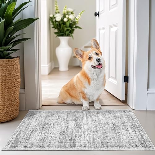 Restydon 2x3 Washable Rug Runner, Grey/Ivory