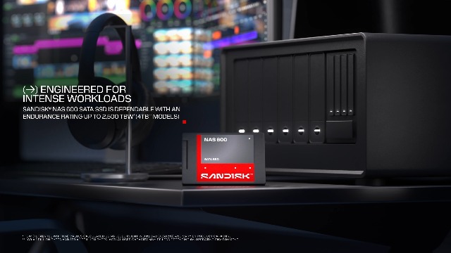 Amazon.com: Sandisk 500GB NAS 600 3D NAND Internal SSD 2.5” SATA