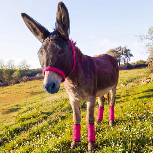 Yeyeplum Mini Donkey Fly Mask with Ears and 4 Set Donkey Fly Boots Mule Leggings Breathable Stretchy Mule Leg Wraps Mask Boots with Mesh Eye Covers from Insects and Bugs with Adjustable (Rose Red)
