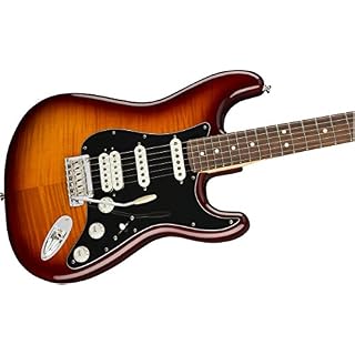 Fender Stratocaster Guitare électrique Pau Ferro Tobacco Sunburst - Les Beatles, Paul McCartney, John Lennon, RIngo Starr, George Harrison Fender Stratocaster Guitare électrique Pau Ferro Tobacco Sunburst – Image 3