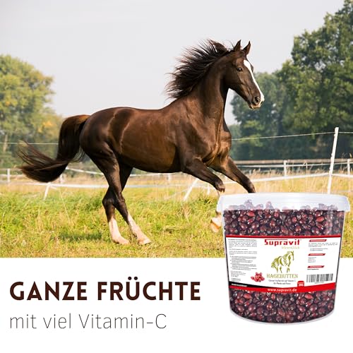 Supravit Hagebutten Pferd | Mit viel Vitamin C für Pferde und Ponys | 2kg Eimer I Ganze getrocknete Früchte - natürliche Pferdeleckerlis ohne Zucker | Erstklassige Qualität