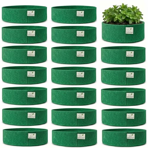 Image of 400 GSM Geo Fabric Round Grow Bags 12x6 Inch, Green Planting Bags for Terrace and Kitchen Gardening Pack of 20
