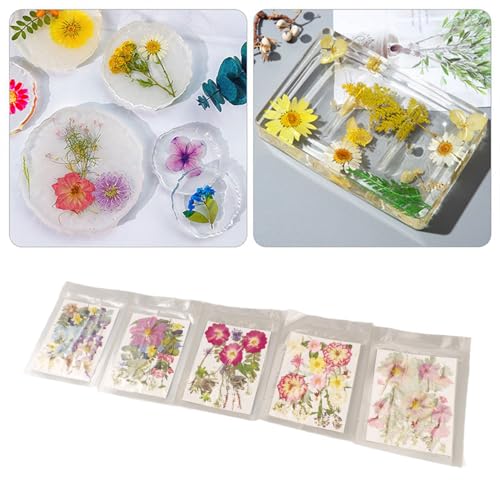 5 bolsas de flores secas prensadas para manualidades miniatura 2