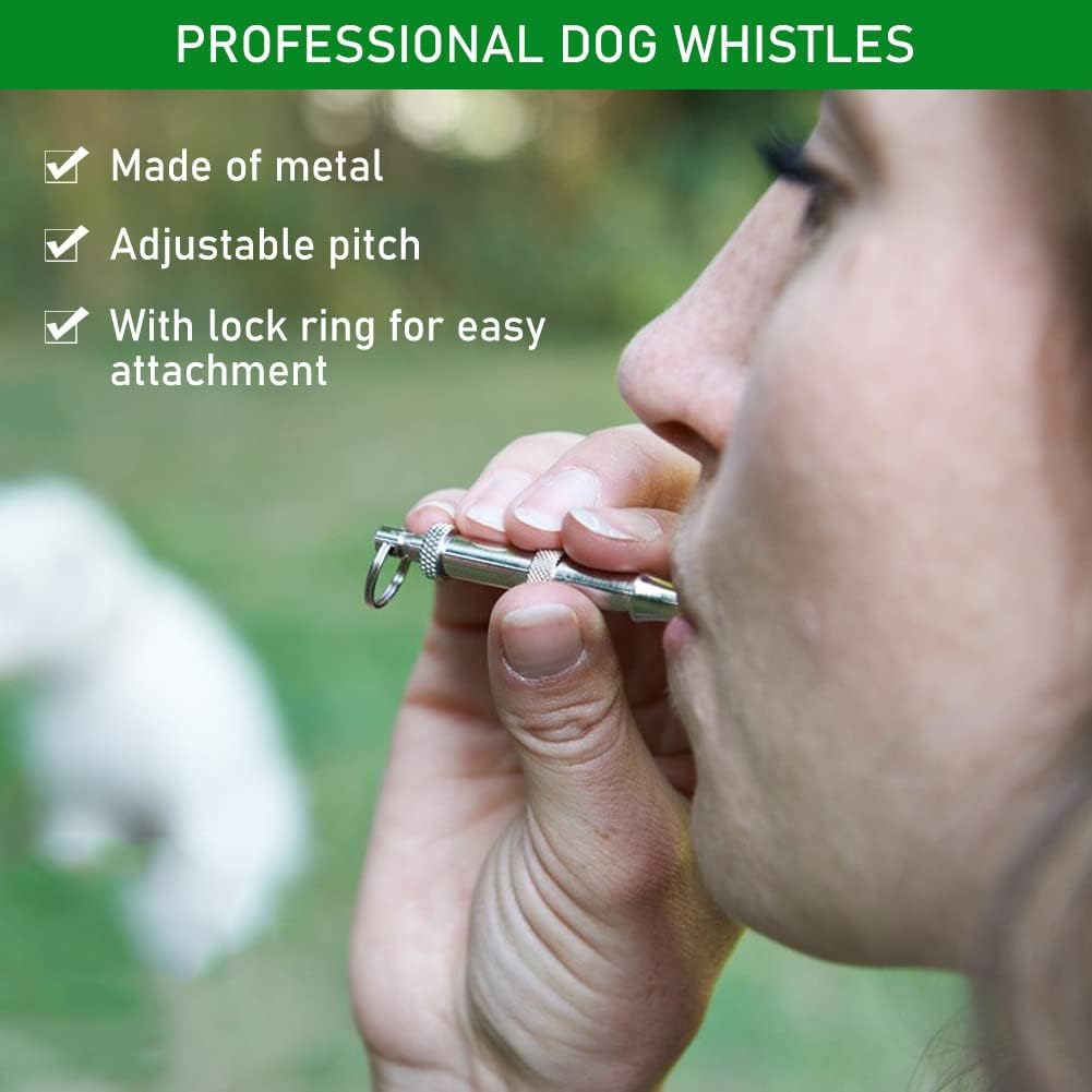 THE DDS Store Dog Whistle 2 -Tone Ultrasonic Flute Stop Barking Ultrasonic Sound Repeller Cat Training Whistle(Single Pack) 1