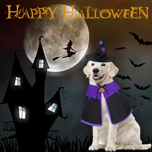 Disfraz de Bruja para Perro Grande X-Large Halloween miniatura 5