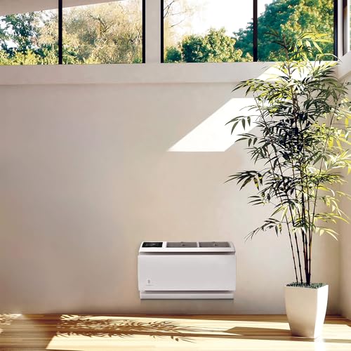 Image of Friedrich WallMaster Smart Thru-the-wall Air Conditoner AC, Cool Only, 10K BTU, 115V