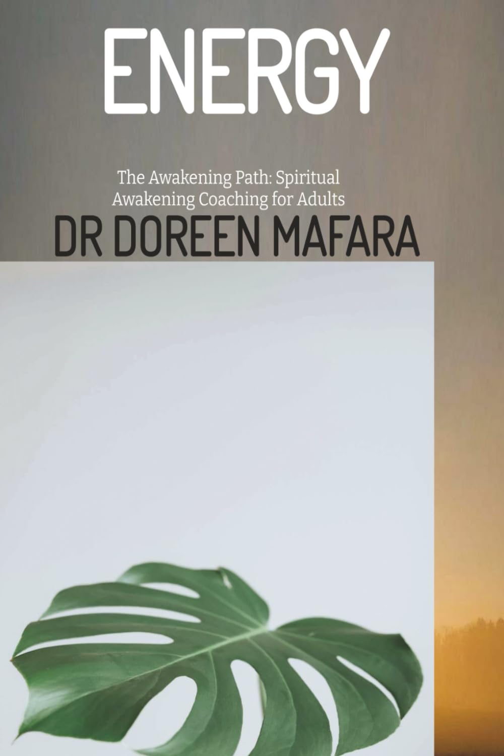 ENERGY: The Awakening Path: Spiritual Awakening Coaching for Adults