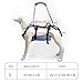 Coodeo Dog Lift Harness, Full Body Support & Recovery Sling, Pet Rehabilitation Lifts Vest for Old Dog with Arthritis Walk(Bule,L)