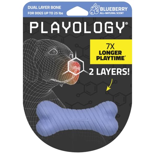 Playology Dog Toys | Dual Layer Bone Chew Toy for Dogs | Blueberry Scented Small Dog Bone
