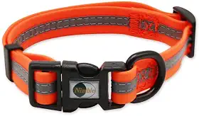 NIMBLE Coleira para cães à prova d'água antiodor durável ajustável PVC e poliéster macio com tecido refletor listra coleiras básicas para cães P/M/G (pequeno (24 cm - 14,17 polegadas), laranja)
