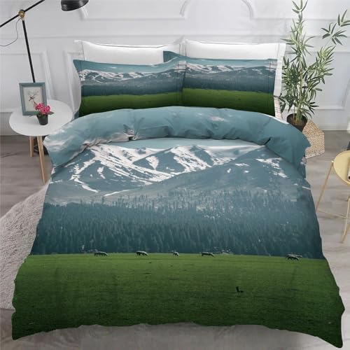 Housse de couette 220x240 prairie et parure de lit paysage montagne microfibre - 6