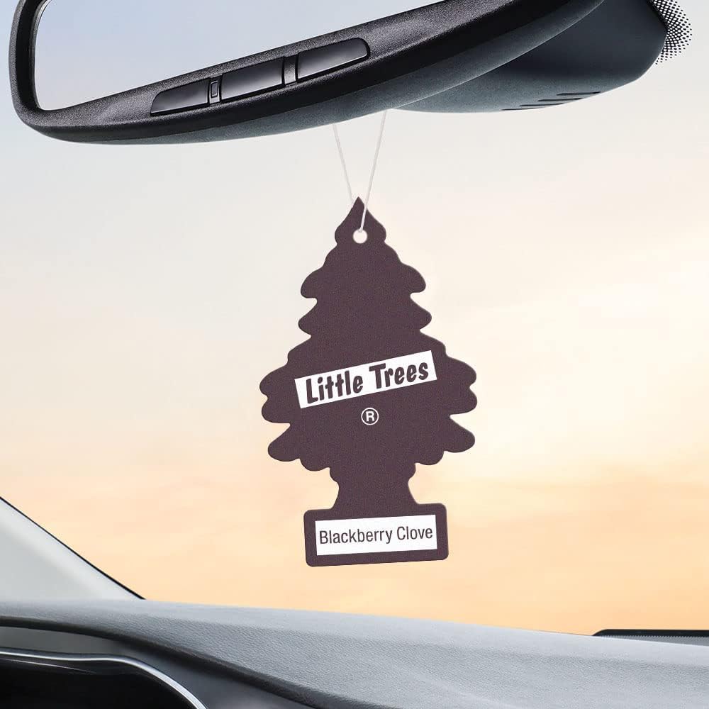 Little Trees Blackberry Clove Air Fresheners 12 Pack