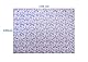 HEAVY SLEEP Kindergewichtsdecke | 3kg | 100x135cm | Oeko-TEX 100 Standard Schadstoffgeprüft | Gewichtsdecke | Therapiedecke | Erholsame Nächte für Kind und Eltern | Nicht für Kinder unter 3 Jahren