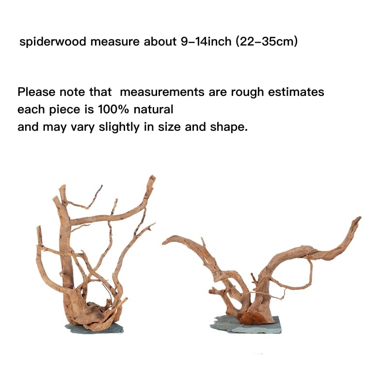 AWXZOM Natural Large Spider Wood Driftwood for Aquarium, Terrarium, Vivarium, and Reptile, Aquarium Décor, Reptile Tank, Aquarium décor Wood Aquascaping Wood for Reptile Enclosure (9-14inch)