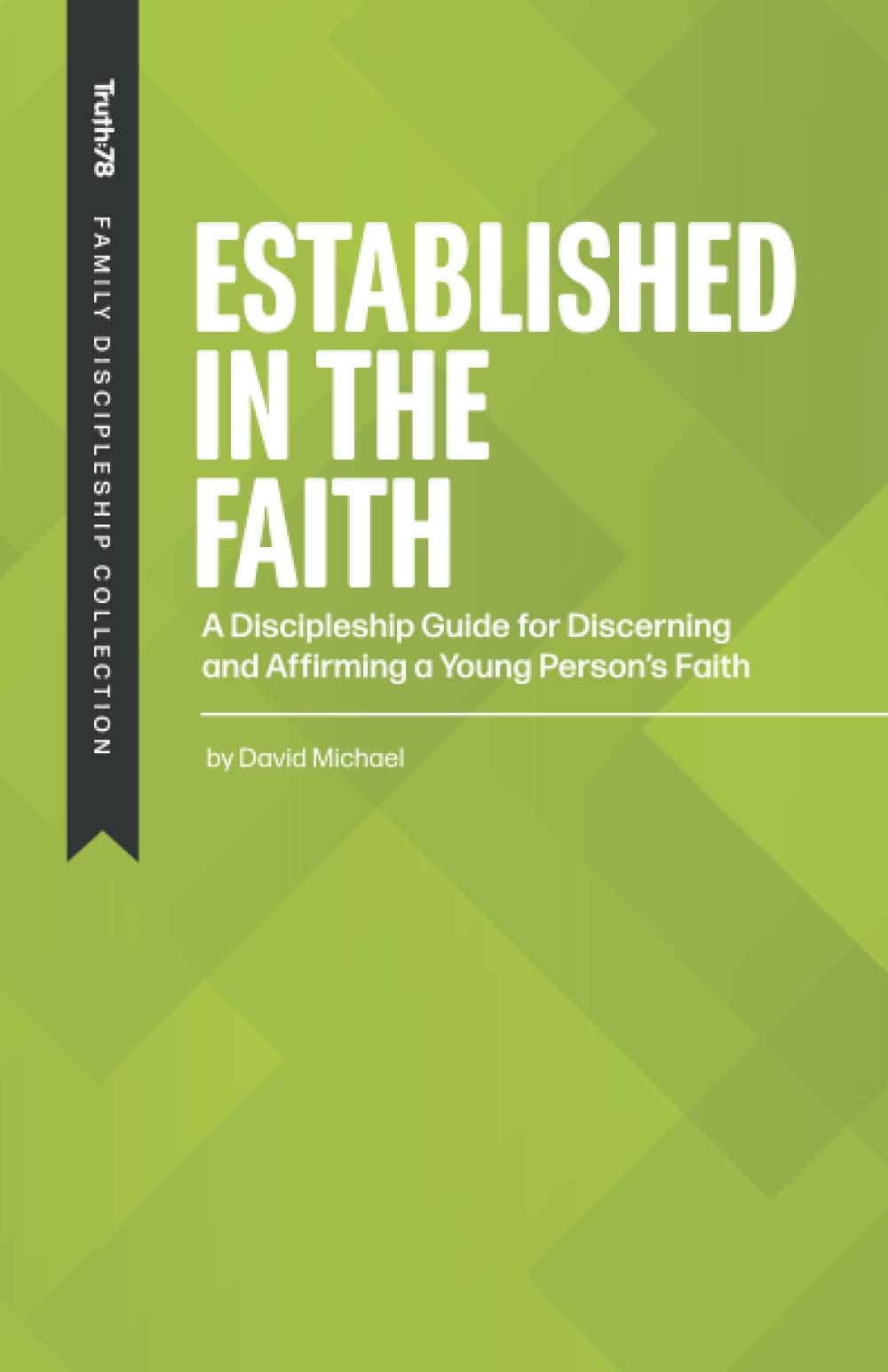 Established in the Faith: A Discipleship Guide for Discerning and Affirming a Young Person's Faith (Family Discipleship)