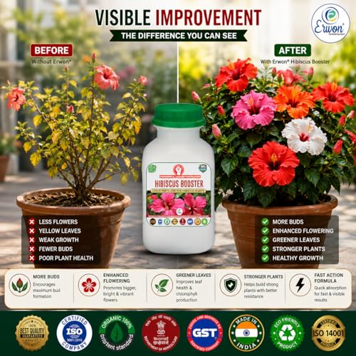 Image of Erwon Hibiscus Booster, Premium Essential Powerful Liquid Fertilizer for the Best Growth of Hibiscus Plants with Flowering Nutrients and Charged Micro-organism (100 ml)