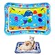 CHENRI Wassermatte Für Katzen, Sensorische Wasser Spielmatte für Katzen, Wassermatte Sensorisches Spielzeug, Sommer Wasserspielmatte, Interaktives Katzenspielzeug, Wasser Matte für Katze, Hunde (D)