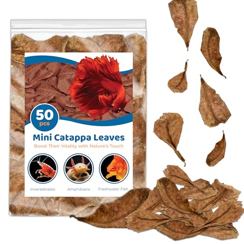 SunGrow 50 Pcs Mini Catappa Indian Almond Leaves for Betta Fish Aquarium, Shrimp, Frogs, Improves Habitat, Gives Tea Color, Helps in Lowering Aquarium Water pH, Improves Immunity